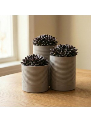 Comes - Sıren 3'lü Minimalist Dekoratif Saksı Seti (Gri)
