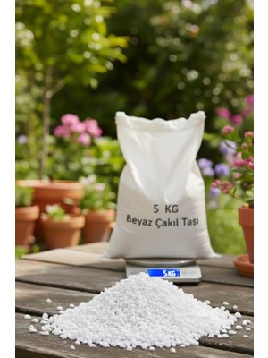 Beyaz Çakıl Taşı 5 kg Vazo Saksı Bahçe