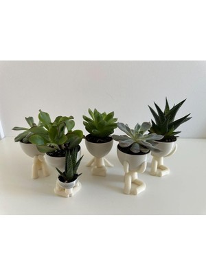 Tr Insansı Saksı 4'lü Set - Beyaz - Çiçeksiz - 7cm, 3DUMAN1000