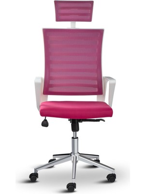 Ceo Ergonomik Ofis Koltuğu, Başlıklı, Fileli, Metal Ayaklı, Çalışma Sandalyesi
