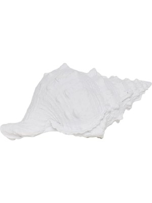 Yargıcı Deniz Kabuğu Formlu Poliresin Obje (14X23X13 Cm)