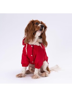 Şanal Yağmurluk Köpek Montu, Kırmızı, 2xl