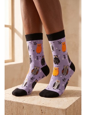 Katia & Bony Unisex Halloween Temalı Baykuş Desenli Soket Çorap Lila