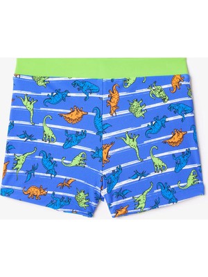 Renkli Dinozor Desenli Erkek Çocuk Boxer Mayo