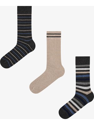 Penti Erkek Bej Modern Layer Çizgili Pamuklu 3 Çift Soket Çorap