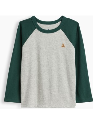 Gap Erkek Bebek Gri Mix & Match Raglan T-Shirt