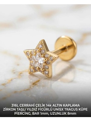 Lunexa 316L Cerrahi Çelik Altın Kaplama Kararmaz Alerji Yapmaz Zirkon Taş Figür Unisex Tragus Küpe Piercing