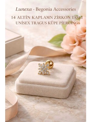 Lunexa 316L Cerrahi Çelik Altın Kaplama Kararmaz Alerji Yapmaz Zirkon Taş Figür Unisex Tragus Küpe Piercing