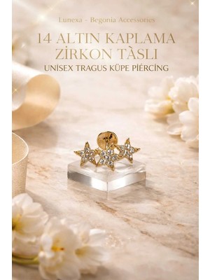 Lunexa 316L Cerrahi Çelik Altın Kaplama Kararmaz Alerji Yapmaz Zirkon Taş Figür Unisex Tragus Küpe Piercing