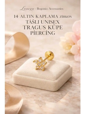 Lunexa 316L Cerrahi Çelik Altın Kaplama Kararmaz Alerji Yapmaz Zirkon Taş Figür Unisex Tragus Küpe Piercing