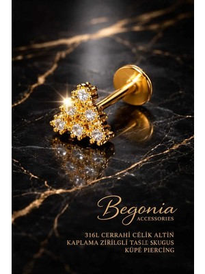 Lunexa 316L Cerrahi Çelik Altın Kaplama Kararmaz Alerji Yapmaz Zirkon Taş Figür Unisex Tragus Küpe Piercing