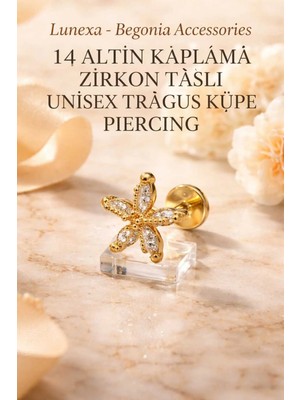 Lunexa 316L Cerrahi Çelik Altın Kaplama Kararmaz Alerji Yapmaz Zirkon Taş Figür Unisex Tragus Küpe Piercing