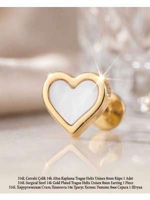 Lunexa 316L Cerrahi Çelik Altın Kaplama Kararmaz Alerji Yapmaz Zirkon Taş Figür Unisex Tragus Helix Küpe Piercing AC210-25