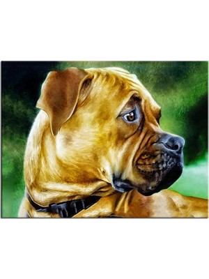 Str Store Talya Koruma Köpeği Buldog Kanvas Tablosu. Köpek Kuş At Aslan, Eski Harita, Oldmap, Antik Mısır, Uzay, New York Atatürk Dekoratif Duvar Pano (50X35)