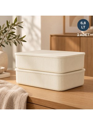 Homing 6.8lt Organizer Kutu Set 2'li 242318