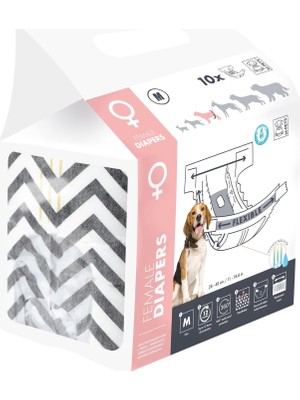 M-Pets Dıapers Dişi Köpekler Için Külot (M) 10LU
