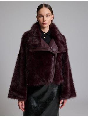 Pierre Cardin Bordo Mont 50329296 VR014
