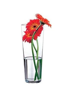 Gy Atelier Paşabahçe Botanica Cam Vazo 26 Cm, 1 Adet