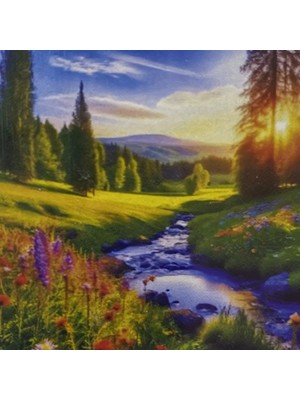 5d Yapışan Boncuk Mozaik Tablo 40 * 50 cm S35