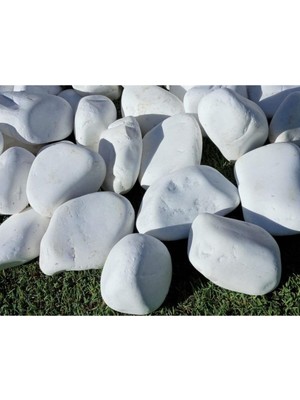 Dolomit Taş 3 kg 4-6 cm Beyaz Dolomit Bahçe Taşı Çakıl Taşı Saksı Taşı Akvaryum Teraryum Taşı