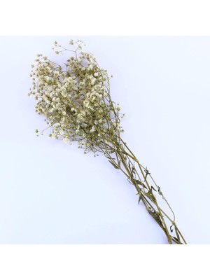 Tr Kuru Çiçek Doğal Kurutulmuş Çiçek Doğal Cipso 40 cm 20 gr Natural