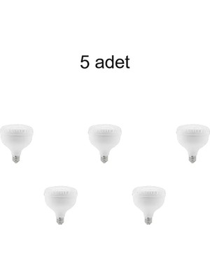 Cata CT-4145 Kristal Torch LED Ampül Beyaz 5 Adet