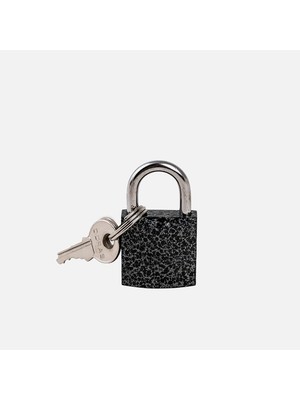 Doras 25MM Döküm Asma Kilit Gri