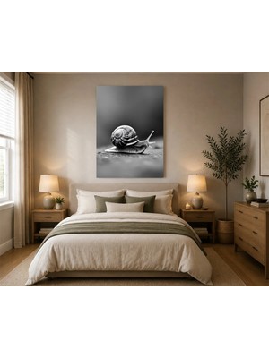 Rose Light Salyangoz Kabuğu Duvar Dekoru Ahşap Mdf Baskı Tablo Mdf Tablo