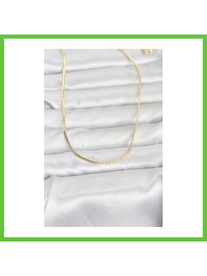 Bezos cm 14K Gold Renk Yassı Zincir Model 60 cm Kadın Kolye Dmc