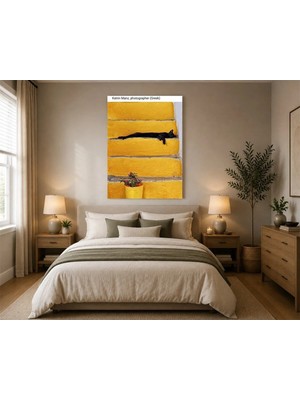 Rose Light Kedi Duvar Dekoru Ahşap Mdf Baskı Tablo Mdf Tablo