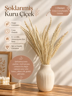 Elpida Bags Bej Tonlarında Dekoratif Kuru Çiçek Buketi