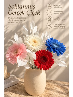 Elpida Bags Premium Şoklanmış Gerçek Çiçek Buketi 4 Renkli Gerbera ve Beyaz Dekoratif Yapraklar