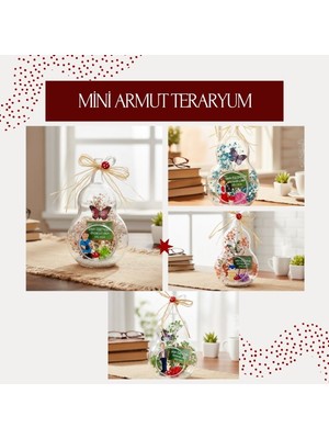 MiraLive Mini Armut Teraryum - Öğretmenler Günü Hediyesi
