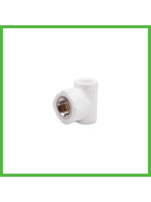 Bezos Pprc 20MM1/2 Iç Dişli T 1 Adet Arz