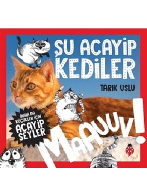 Uğurböceği Yayınları Şu Acayip Kediler - Maauuv!
