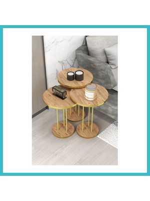 Defne Store Gold Terra Zigon Ceviz Kahverengi 3'lü Dfnbez