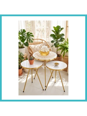 Defne Store Gold Metal Düz Ayak Zigon Beyaz 3'lü Dfnbez