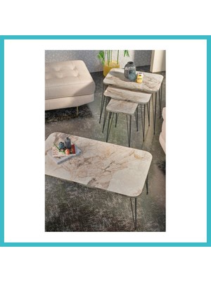 Defne Store Zigon Sehpa Kr ve Orta Sehpa Kr Set Siyah Ayak Efes Tel 1103 Dfnbez