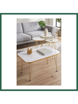 Vintessy Vıntessy Gold Tel 4'lü Sehpa Seti Beyaz BZS01