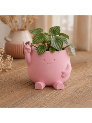 Northcity 3D Baskı Smiley Face Planter - Gülümseyen Karakterli Saksı-Pembe