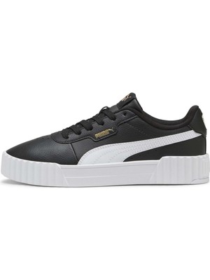 Puma Carina 3.0 Tdp