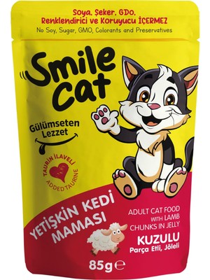 Vionna Smile Cat Pouch 85 gr Kedi Kuzulu