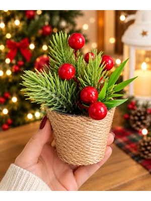 Ecrella Yılbaşı Dekoratif Mini Saksı Çam Dalı ve Kokinalı Masa Süsü 10-15 cm 1 Adet