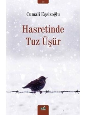 TeknoKapsül Hasretinde Tuz Üşür