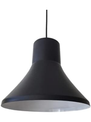 Tr Rsylight Retro Metal Sarkıt Avize Rustik Tekli Sarkıt Siyah Içi Beyaz Siyah RT2027000