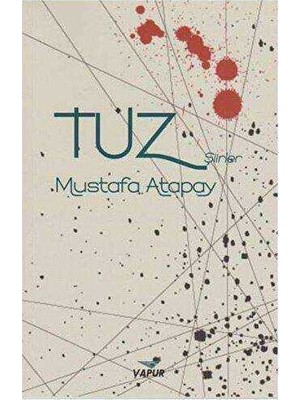TeknoKapsül Tuz