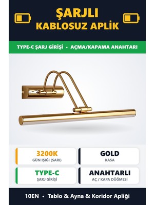 10EN Flüt Şarjlı Gold Kasa Koridor LED Tablo Kuğu Duvar Aplik Şarjlı Gün Işığı