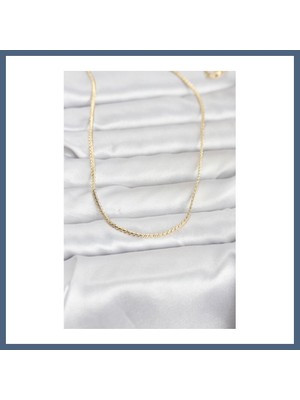 Bezos cm 14K Gold Renk Yassı Zincir Model 60 cm Kadın Kolye BZS10