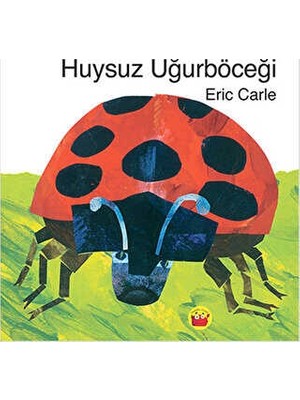 TeknoKapsül Huysuz Uğurböceği