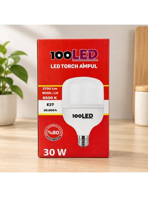 Be LED 30 W Torch Ampul Najmaddin